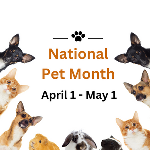 National Pet Month: A Guide to Celebrating With Your Pet
