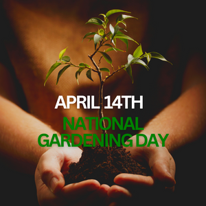 National Gardening Day: Exploring The Many Benefits of Gardening