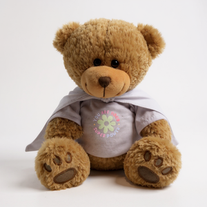 You Are Your Own Superhero Personalised Teddy PureEssenceGreetings