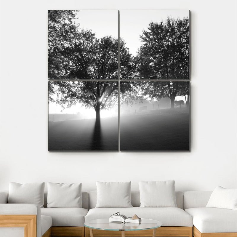 Black and White Tree Design Photo Wood Panels